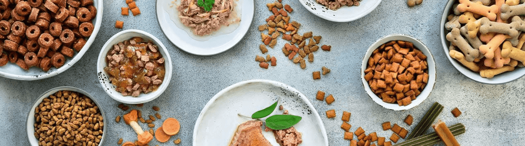 Alimento y Snacks - Animal Republic Chile