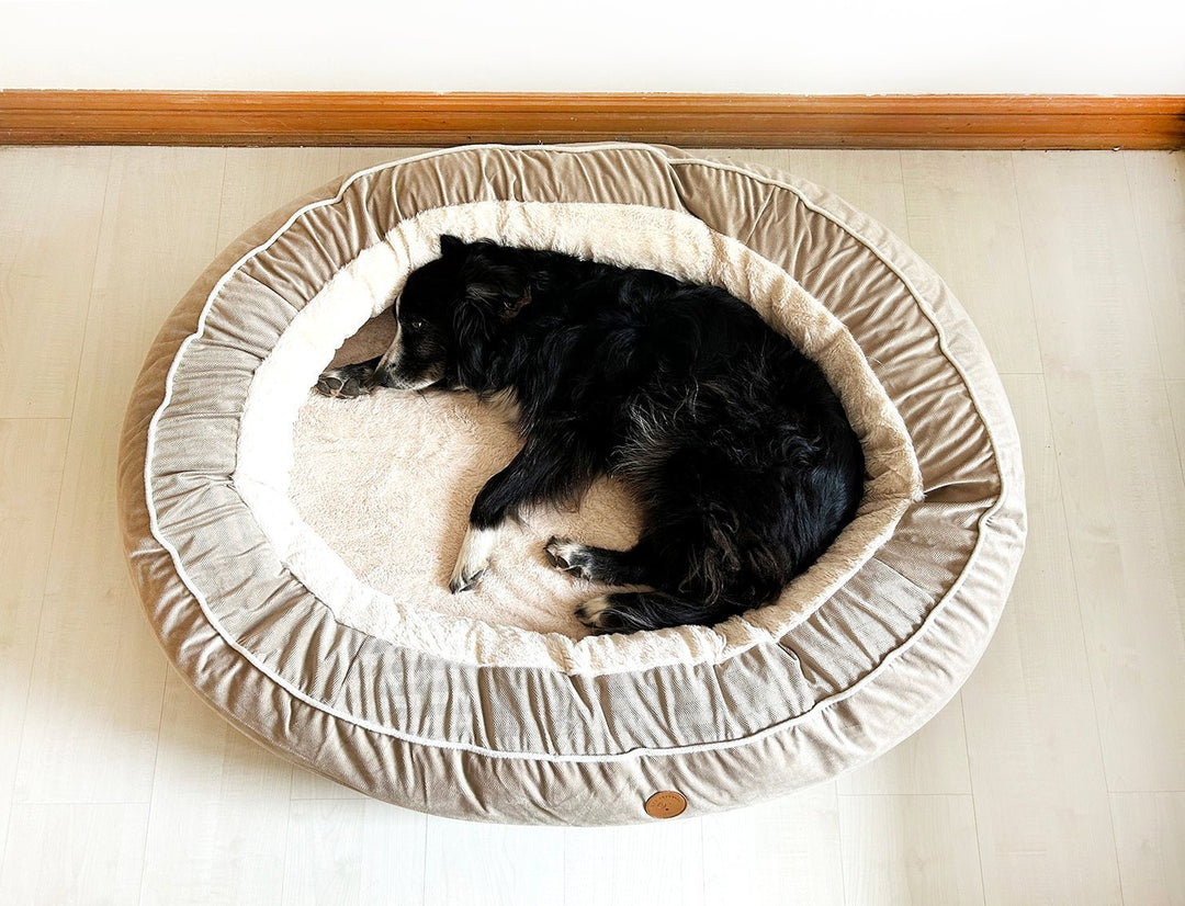 Camas & Blankets | Dog Republic Chile