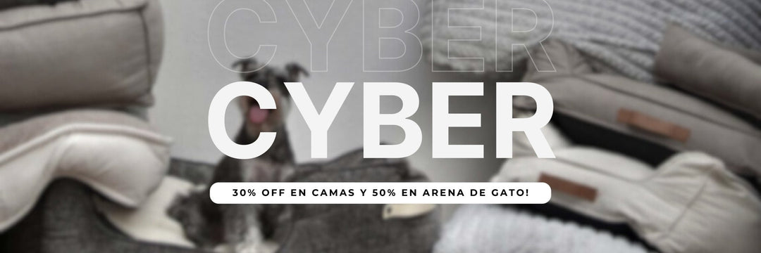 CYBER Junio 2025 - Animal Republic Chile