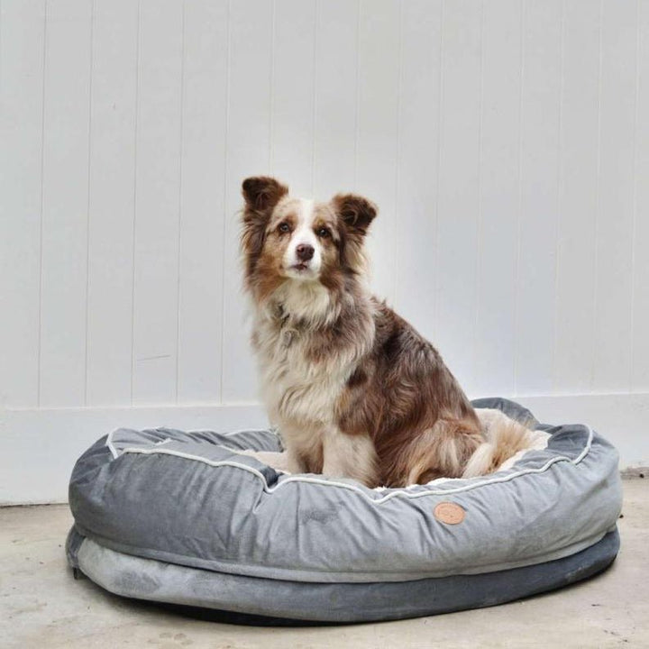 Pack Premiun Cama Ulmo Gris XL  + Collar de Regalo