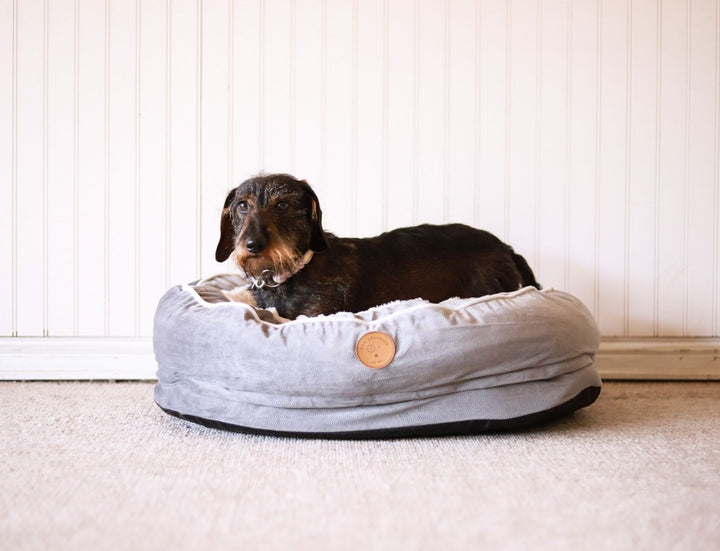 Pack Premiun Cama Ulmo Gris XL  + Collar de Regalo