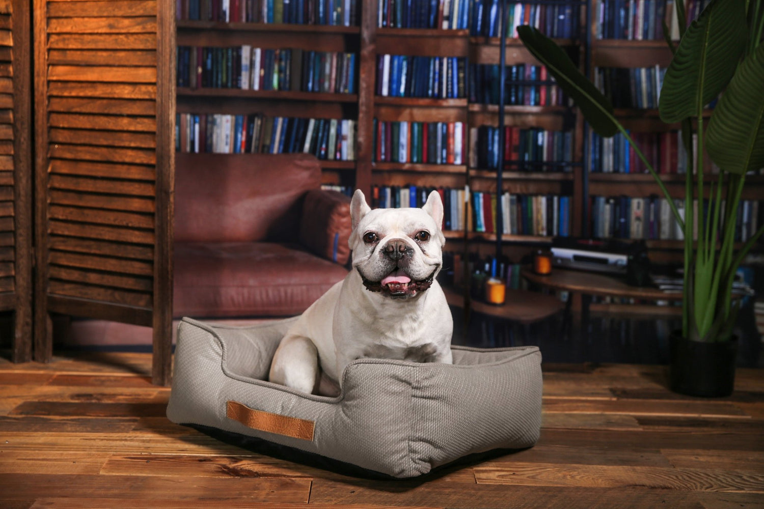 Cama William Classic (Azul y Beige Claro) - Animal Republic Chile