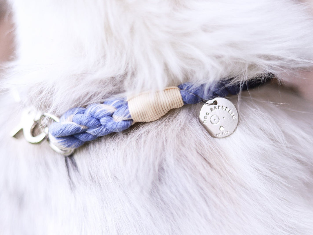 Pack Premiun Cama Ulmo Gris XL  + Collar de Regalo