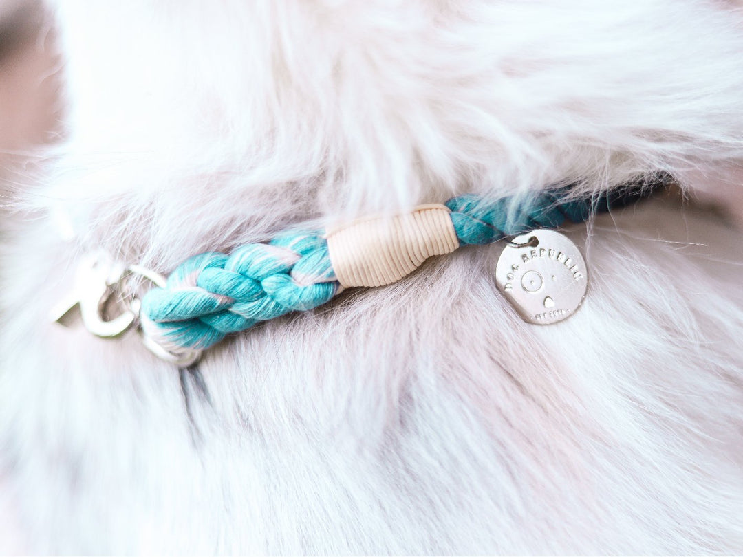 Collar Cuerda Calipso - Dog Republic Chile