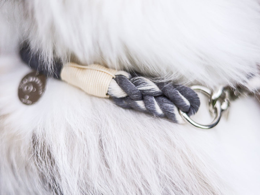 Collar cuerda Gris - Dog Republic Chile