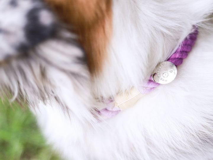 Collar cuerda Lavanda - Dog Republic Chile