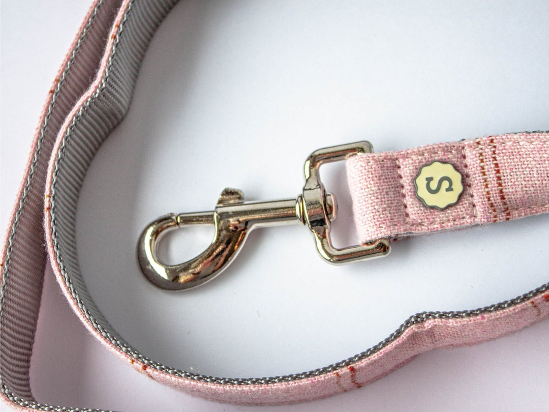 Nueva Correa Pink 2022 - Dog Republic Chile
